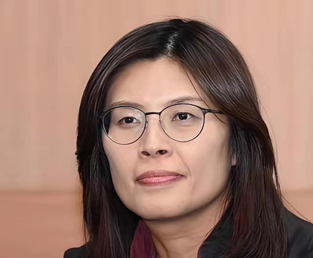 台湾国民党主席郑丽文在接受专访时表示，台湾不会也不能接受香港模式。

郑丽文刚当