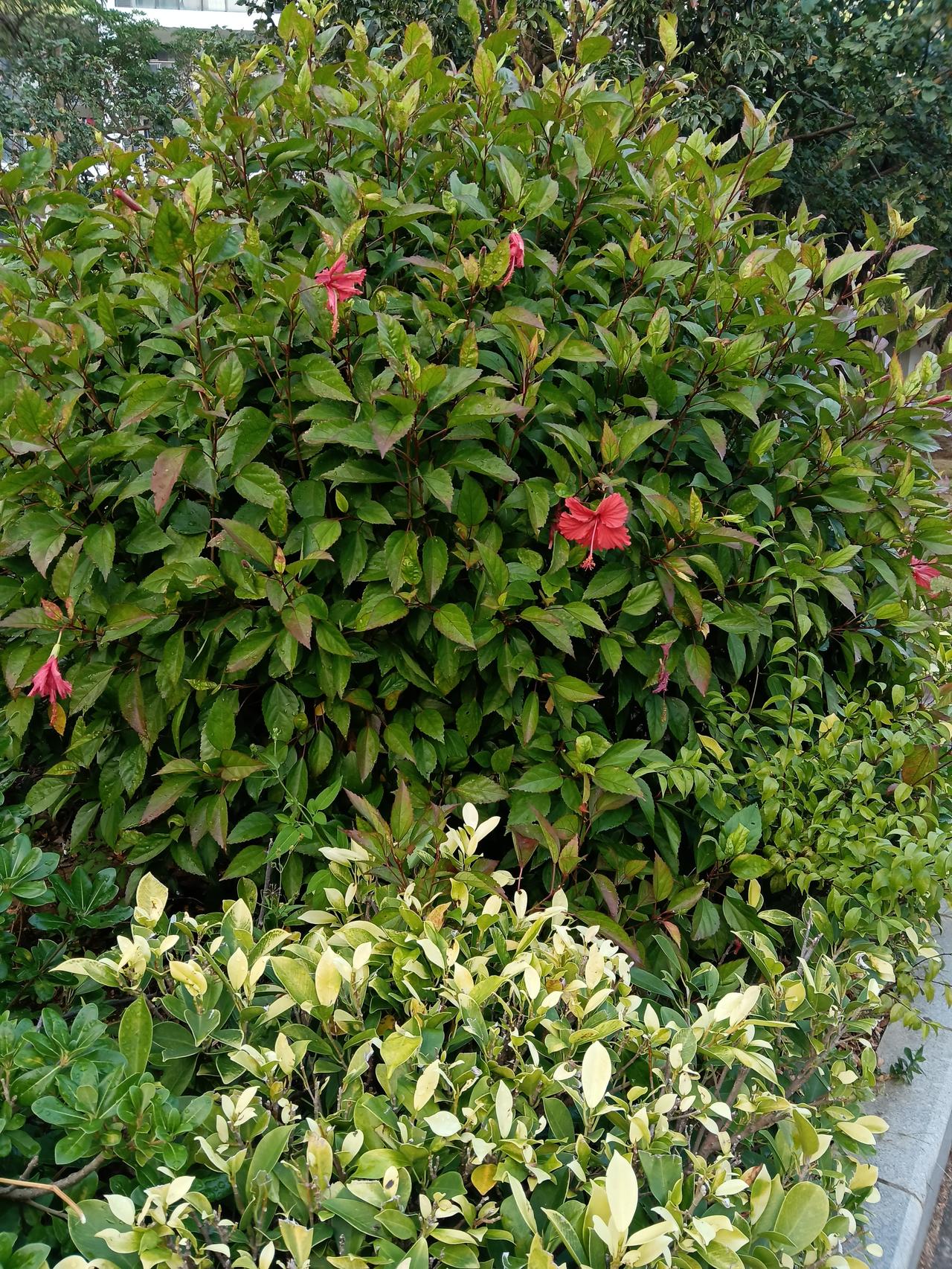 分享一下你随手拍下的照片