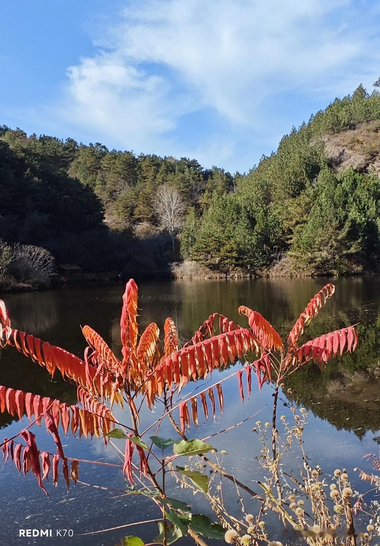 #水库美景分享# 令公水库，秋水共长天一色。这里没有秋色的绚丽，却碧波荡漾，苍山