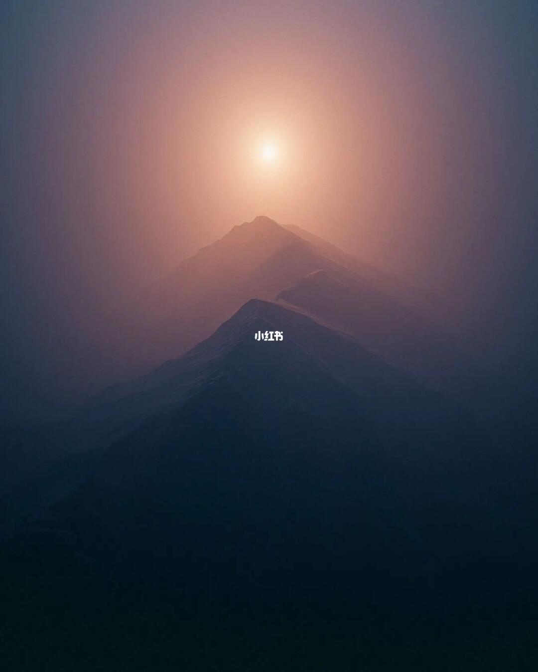 审美提升|每天认识一位摄影大师196