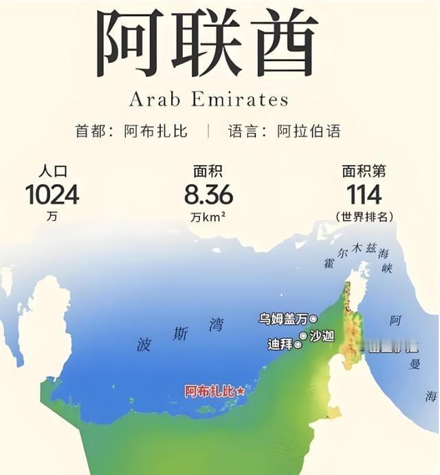 阿布扎比 的王储来了。专机在北京降落的那一刻，这位酋长心里怕是不太好受。不是因为