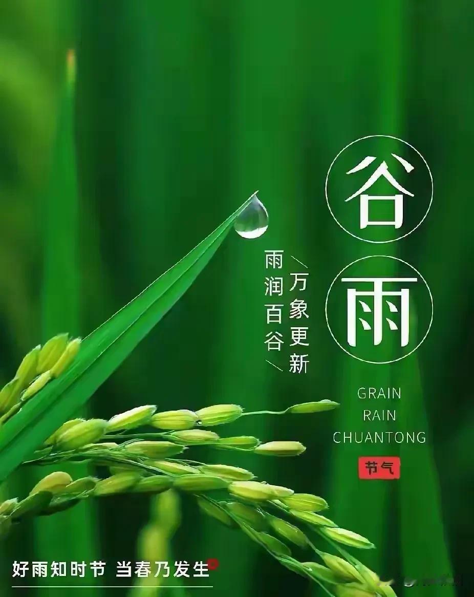 《清平乐·谷雨》
 
雨生百谷，
风软催新绿。
柳外莺声穿薄雾，
陌上落花轻舞。
