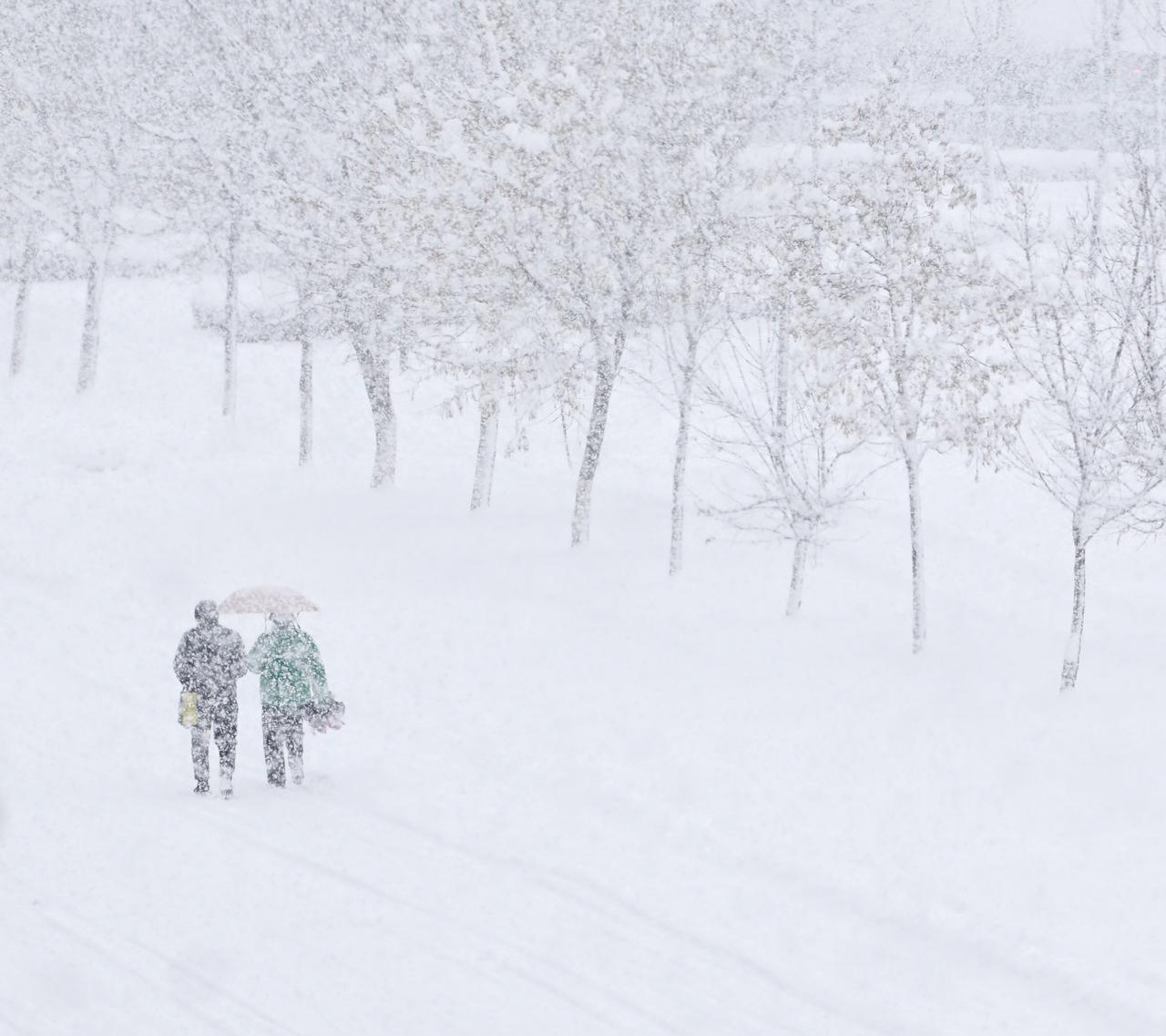 雪里已知春信至