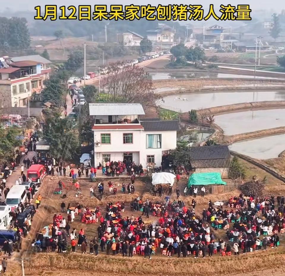 2026年是马年，都说龙马精神，但是让人意外的是，2026开年第一火的却不是马，