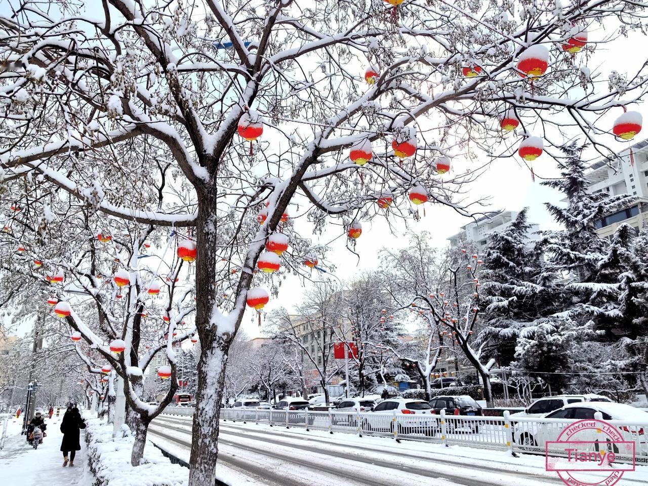 蛇年初六的大雪总是能给城市带来别样的美。威海，大年初六这场雪让整个城市瞬间被白雪