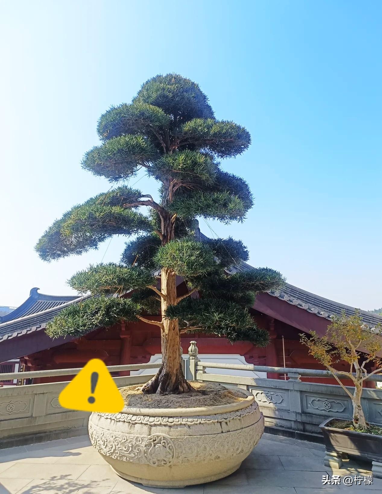 拿捏一个人最狠毒的方式
一、交往
1.不管谁家有事，只要没通知你，那就一律装作不