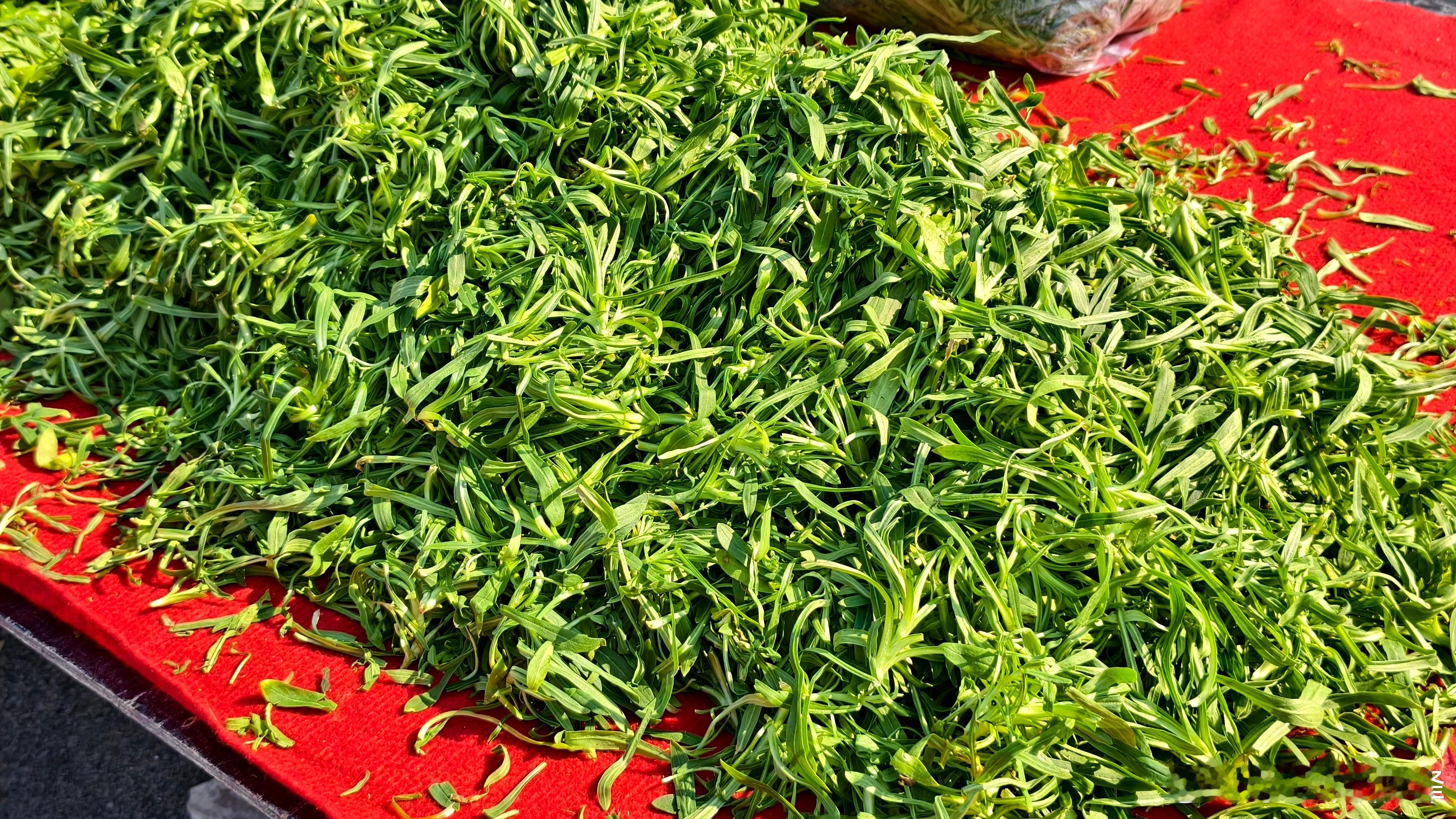 今天是太清爽了。小区新开了一个大集双兴大集，初五，初十。 