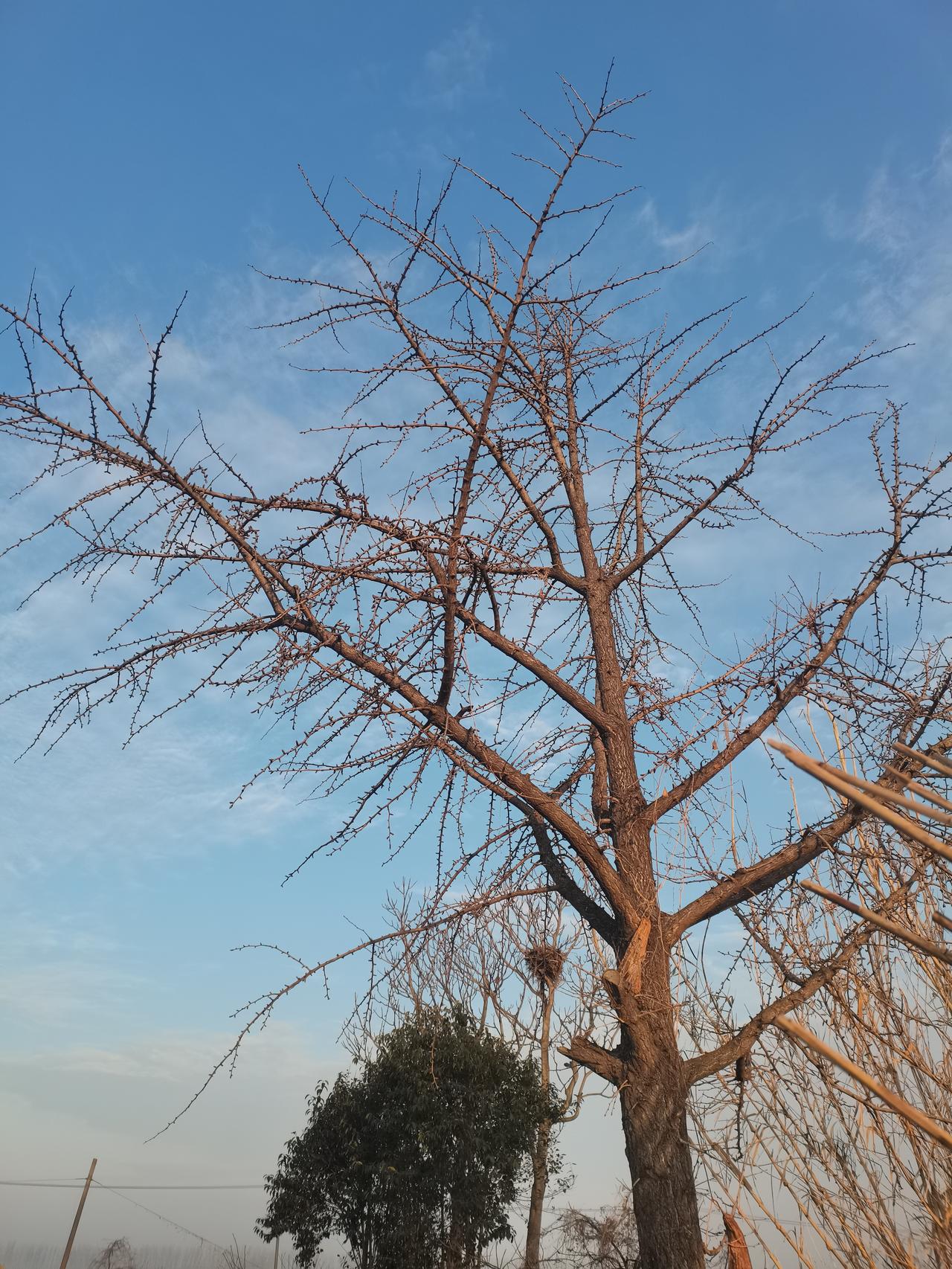 67岁表姐终于又在上海找到了一份住家保姆的工作。
我表姐出生于1960年，刚好比