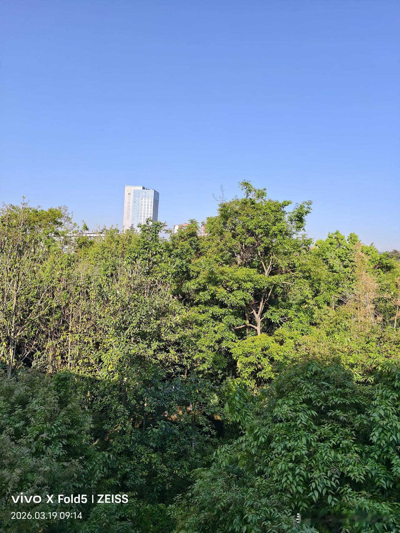 93岁老妇：活久了，身体怎么摆都不好过，70多走就少受点罪。老人家是身体不舒服加