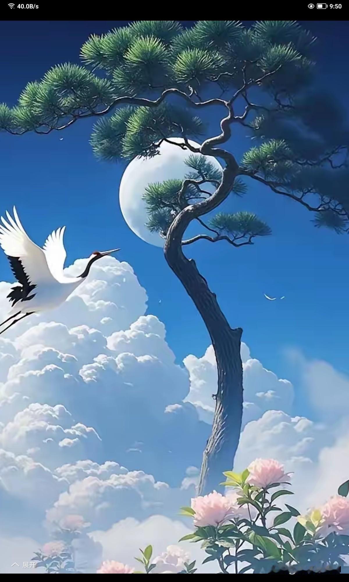 月栖浅沼缀琉璃，
玉盘觅景不想走。