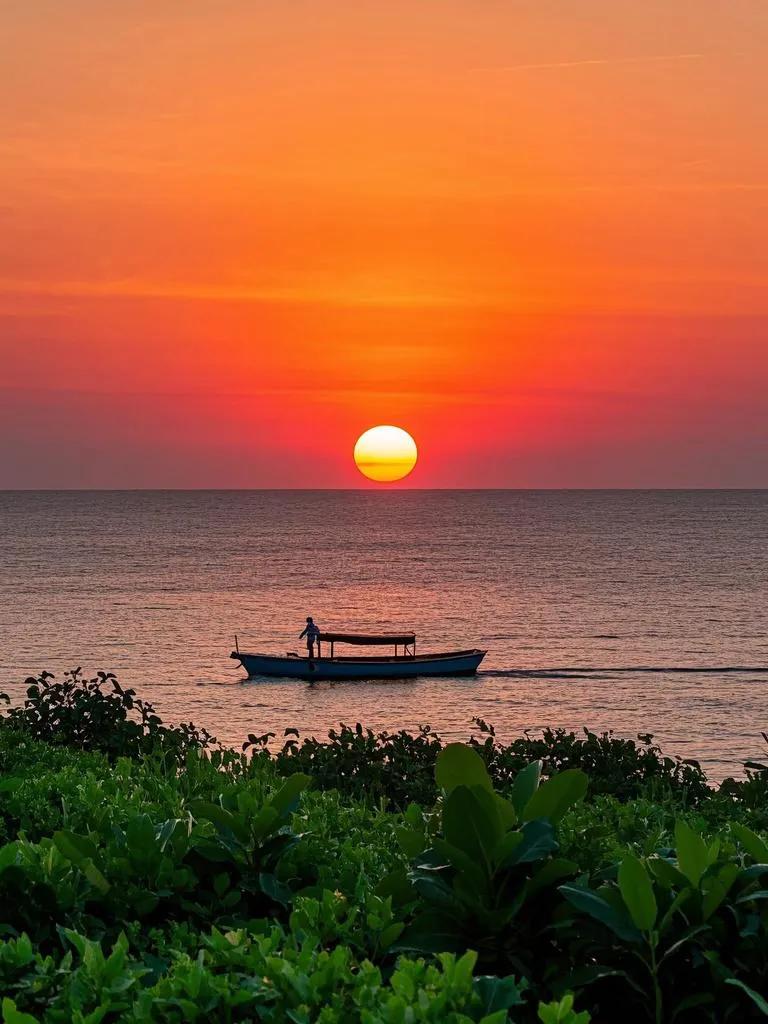 暮临东海畔，船在日边返。植披霞色灿，海天一线绾，绝美夕景醉吾眼。万丈晚霞伴我行 