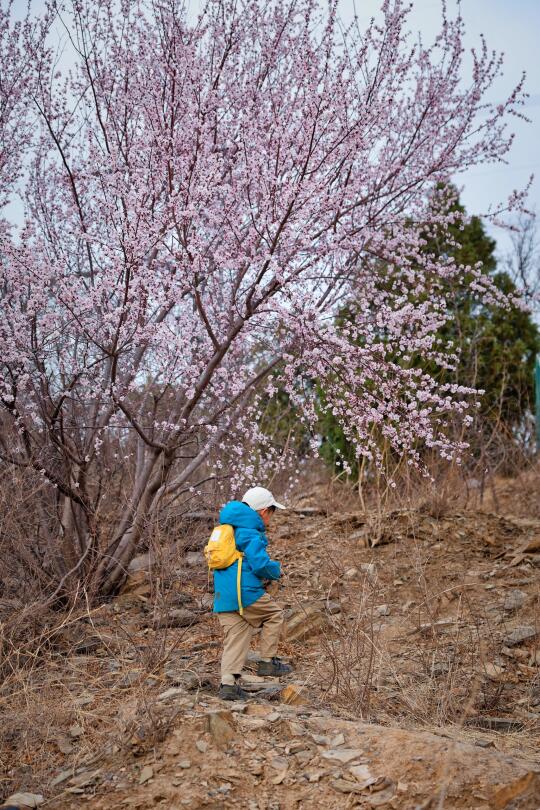 森林秘境🆒可以俯瞰北京城的5KM徒步环线