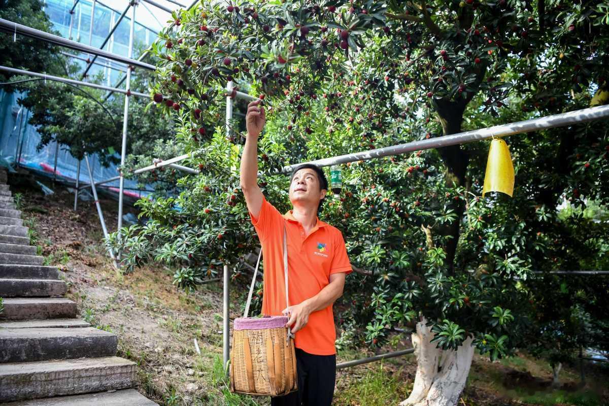 宁波深耕土特产精深加工打造共富产业链 宁波依托本地农产资源大力发展农产品深加工，