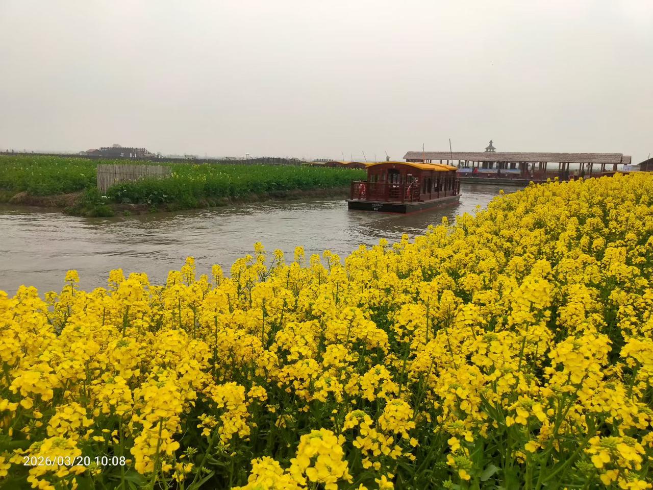 昨天一个朋友突然焦急的问我，交了10年的社保要不要继续交！因为他最近遇到麻烦了！