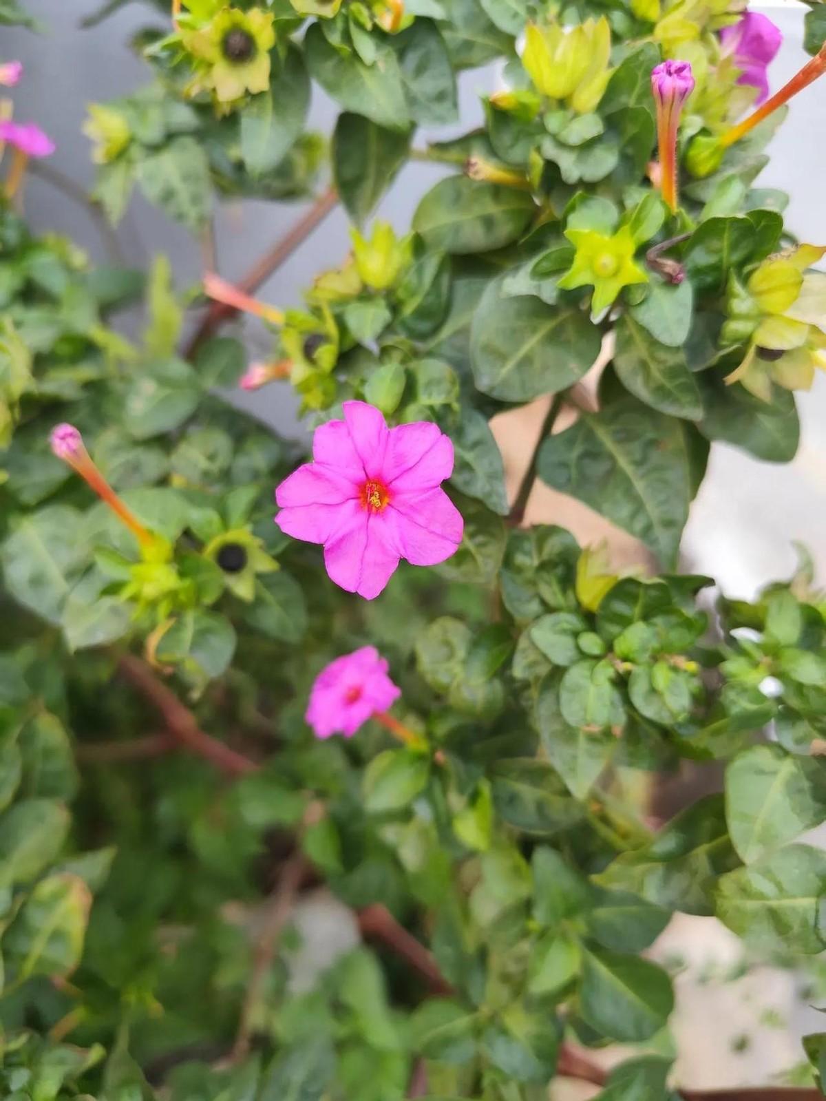 上班要迟到了！闹钟响了没用，还是睡过头了。半小时啊，就这么没了！飞速洗脸，冲向公