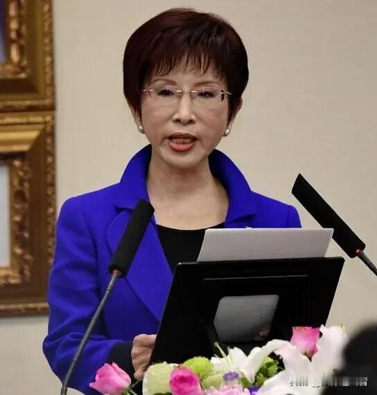 迄今为止，台湾地区对大陆进行的比较成功的参访交流：
一、2005年4月26日—5