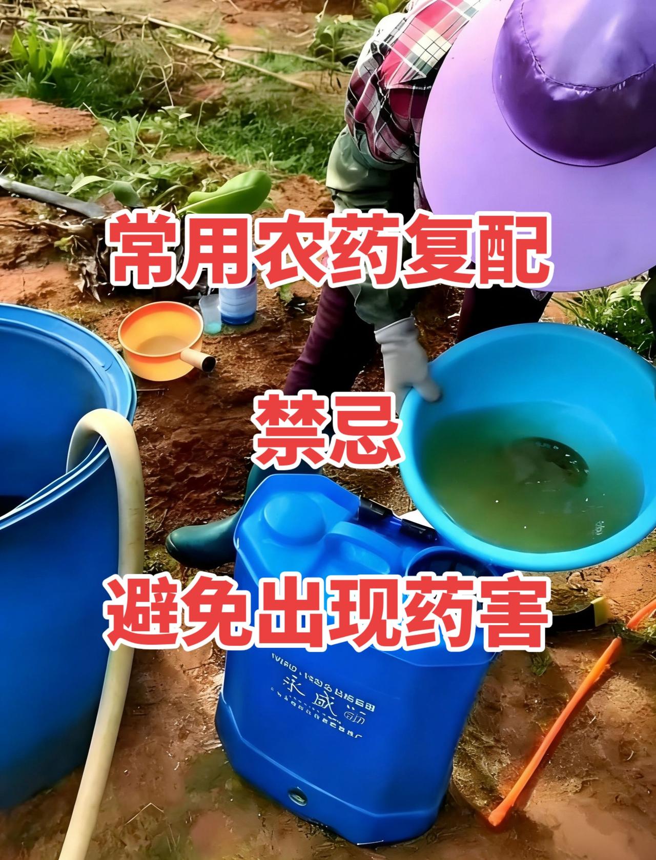 超过30°以上的温度，不管是喷施或者灌根都容易产生药害。打农药是为了治病杀虫，但