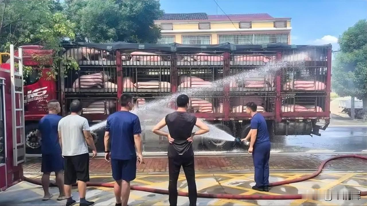 消防队员来降温！据长沙晚报，7月4日下午3时许，长沙县江背镇专职消防队接到报警，