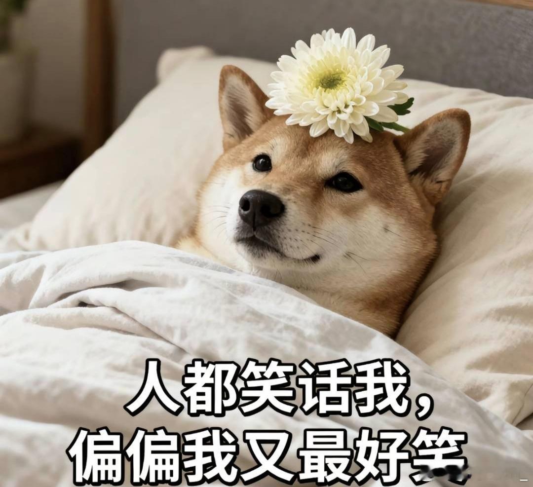 我的阿米跪在孩go面前了 