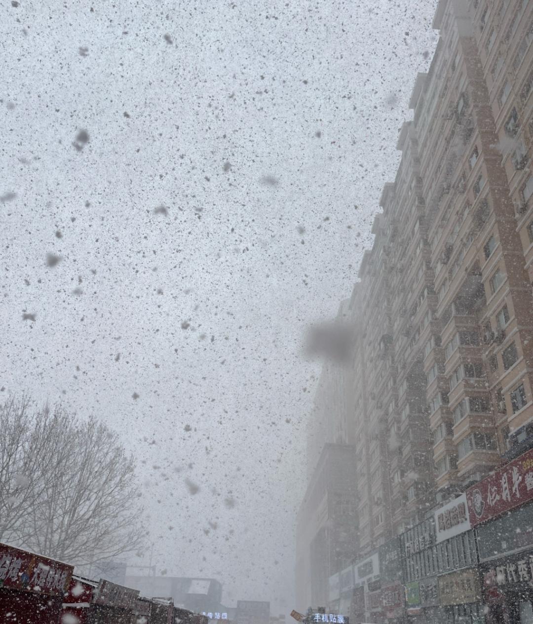 烟台暴雪出圈了！以前都说倾盆大雨，鹅毛大雪，但看了烟台下的雪，倾盆大雪这个词变得