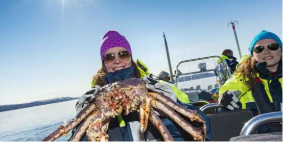 1960年，苏联科学家为了让大家能自由吃蟹，将3000只帝王蟹空运到欧洲海域并放