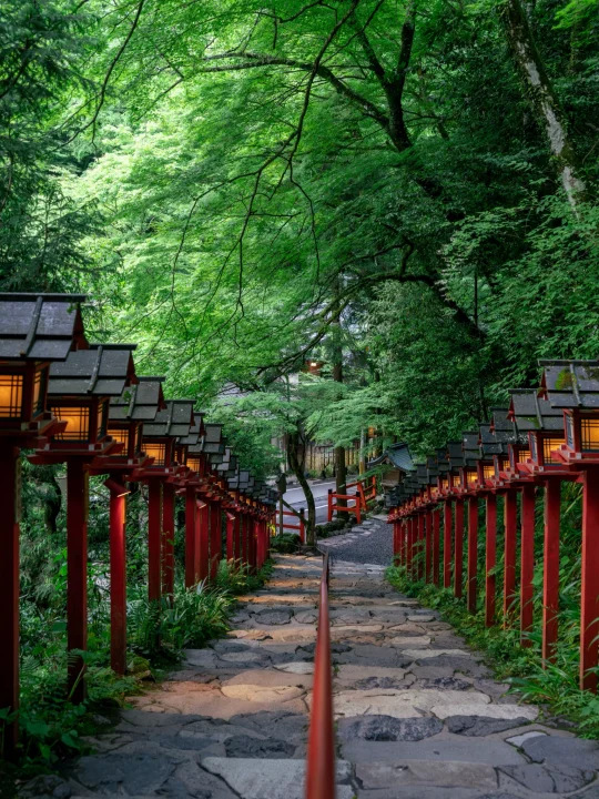 “人类为什么会如此执迷绿色？？”