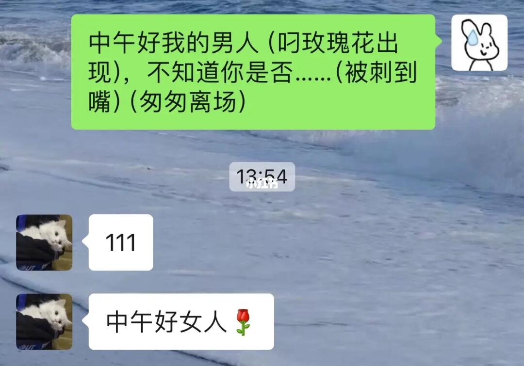 和男朋友聊天胡言乱语的日常