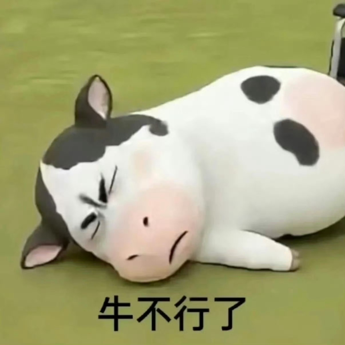 猫猫鱼的食堂[超话]人懒得要死，一放假就不想🐏号[淡淡的][淡淡的][淡淡的]