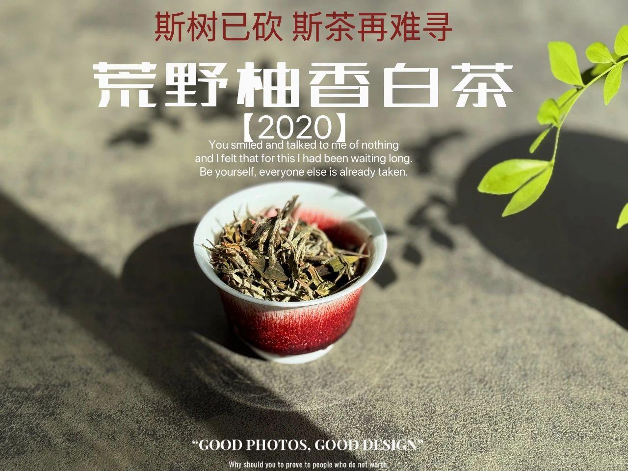 买一斤白茶回家，可以喝多久？
茶叶的消耗速度，大家平时喝茶是否注意过？有位茶友说