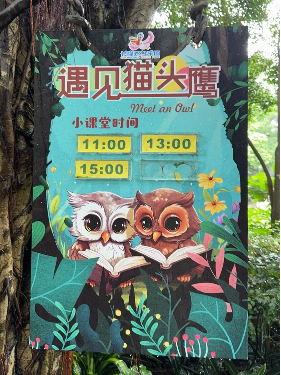 猫头鹰吃老鼠，你来长隆看了么