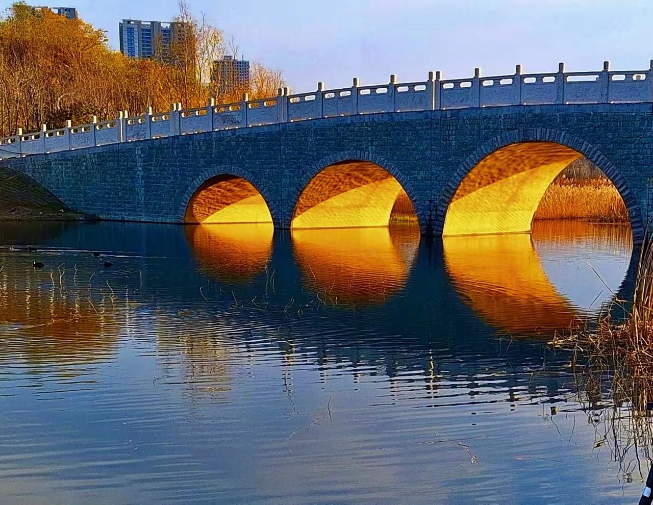 人生是一场航行
坦途与风浪共生。
我们既要享受顺境的惬意，
又要汲取逆境带来的坚