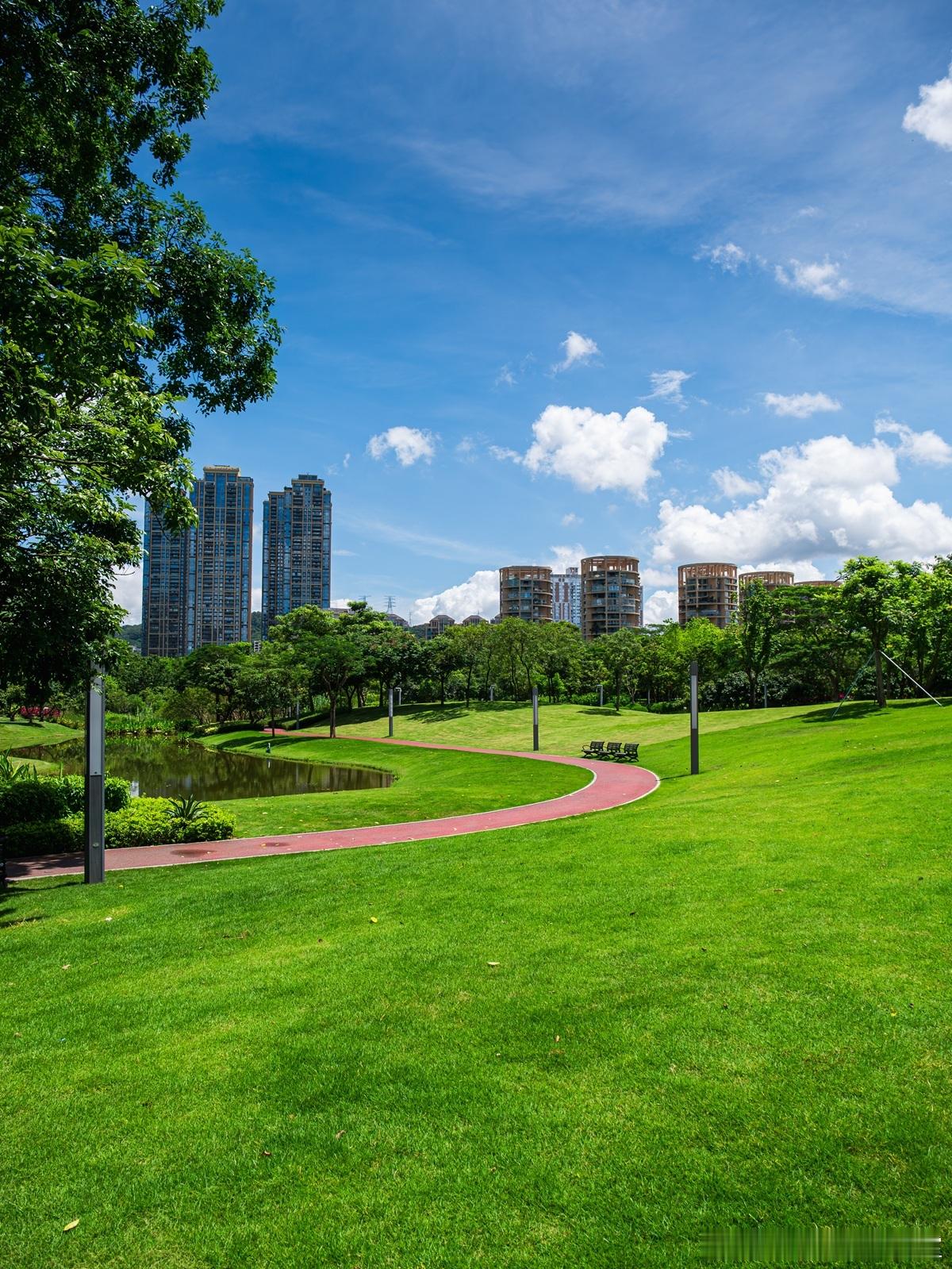 公司确实赚了钱，这时候股东为了分钱往往产生纠纷公司要做出分钱的决议，要由股东会决