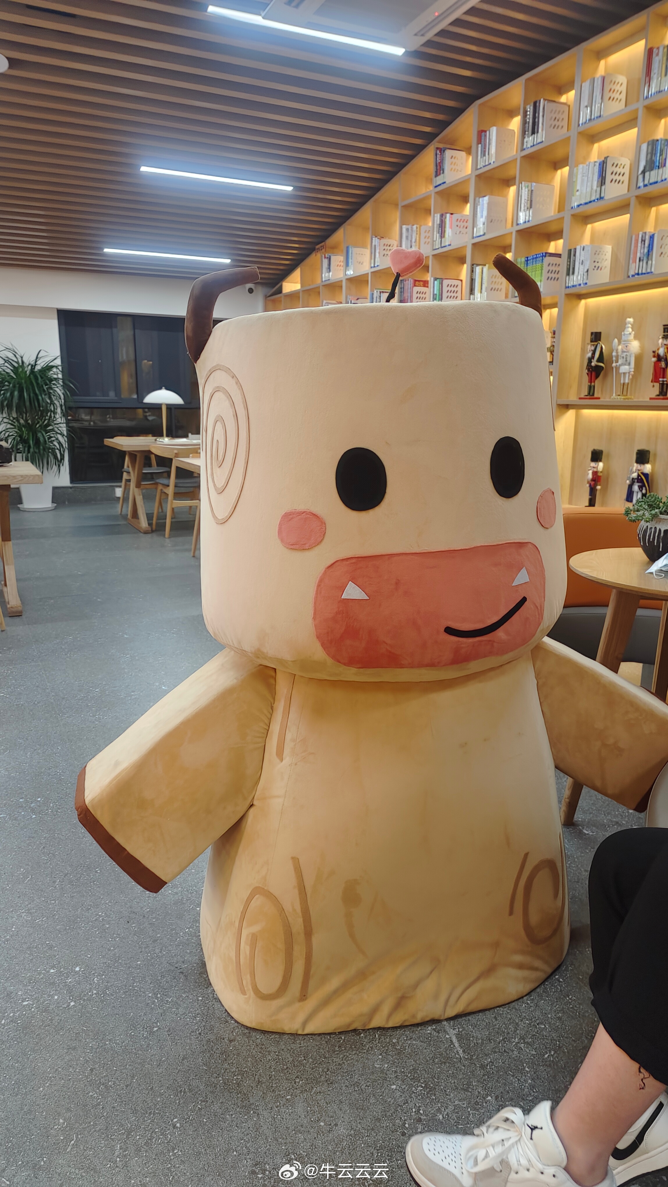 牛云云：我是谁，我在哪，我为什么在书房里看书呀！牛云牛语