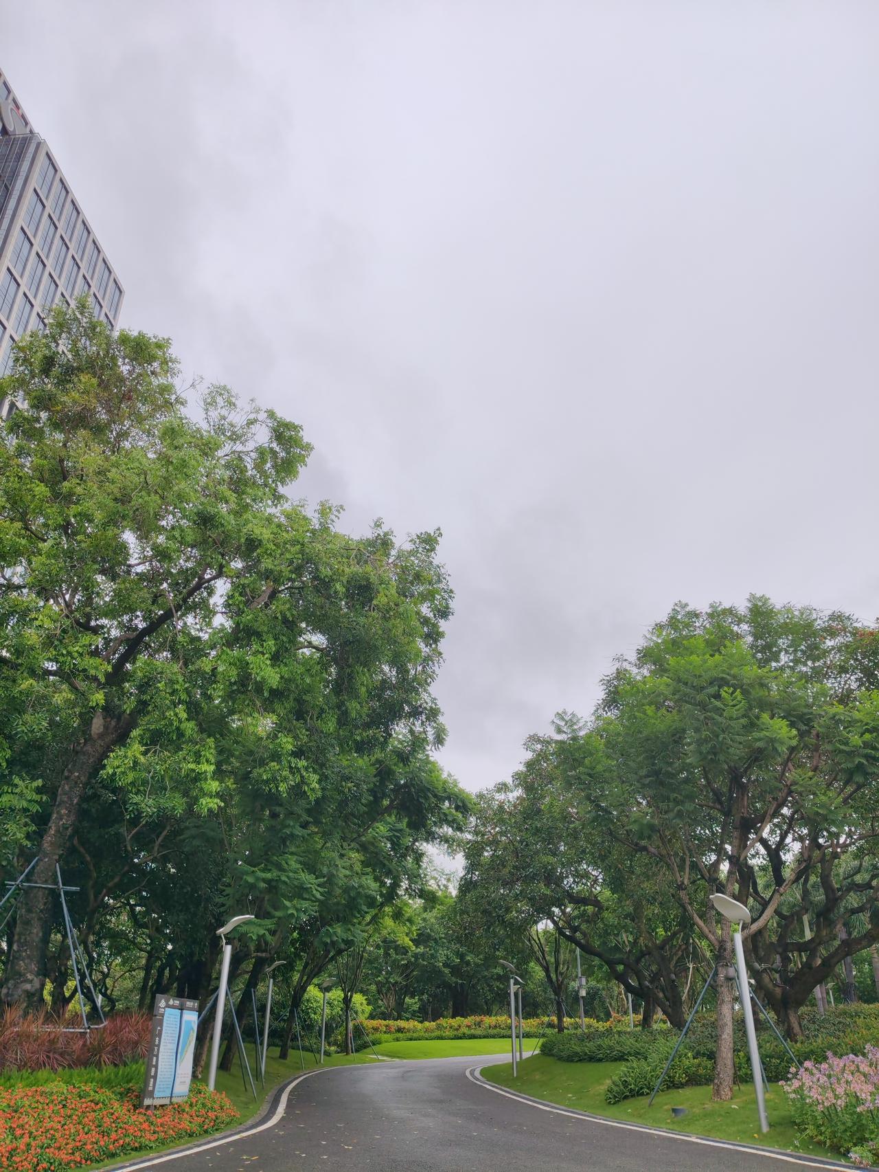 科技股热潮下，把握投资机会可得悠着点。2019 - 2020年，电子、计算机行业