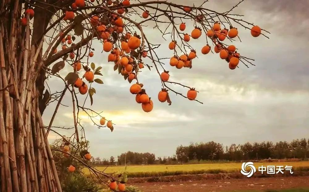 现在终于明白，
为什么男人在停完车之后，
都喜欢在车里多待一会儿？
那是因为在关