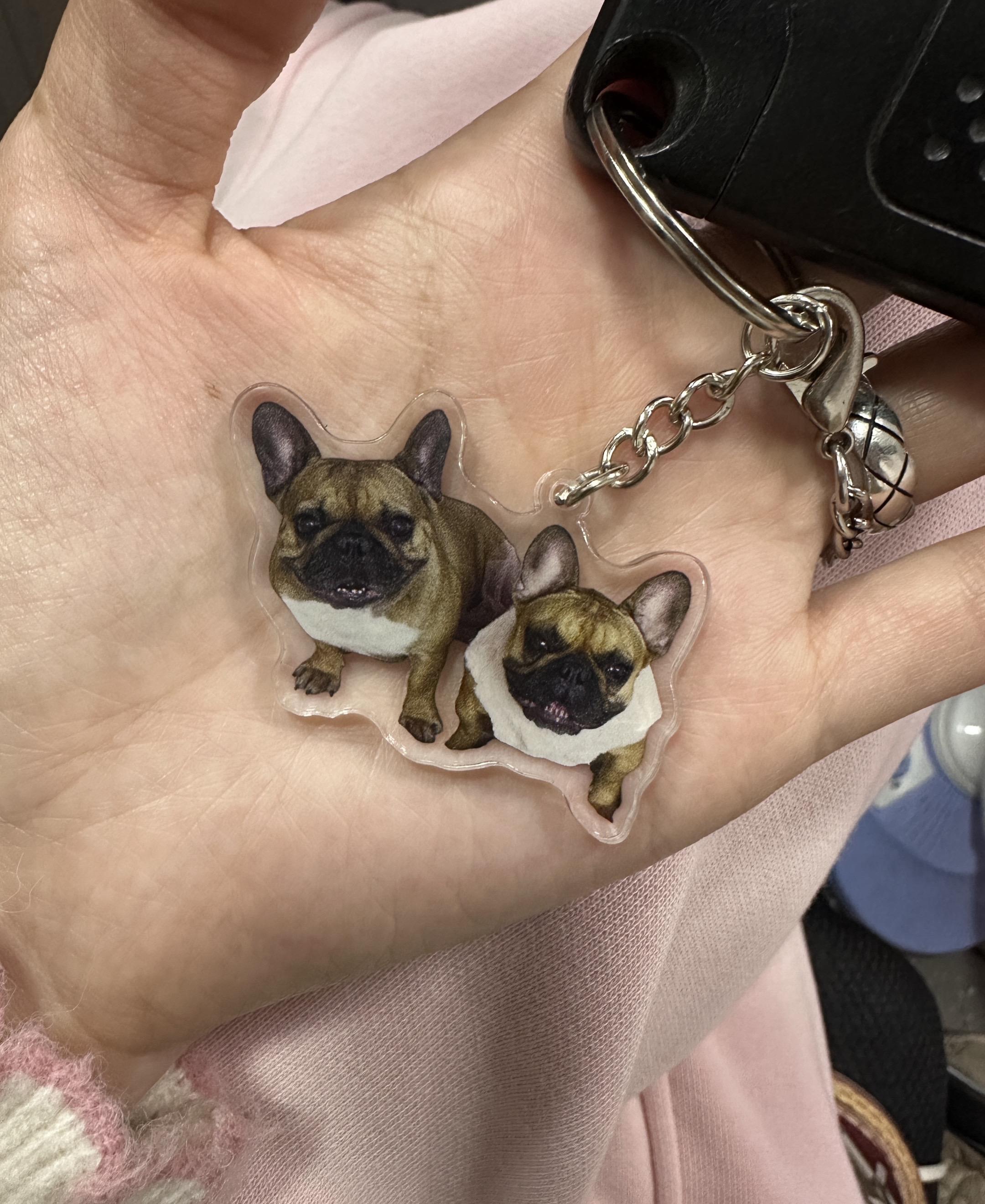 人类穷极一生追寻的爱与忠诚就藏在这颗毛茸茸的脑袋里