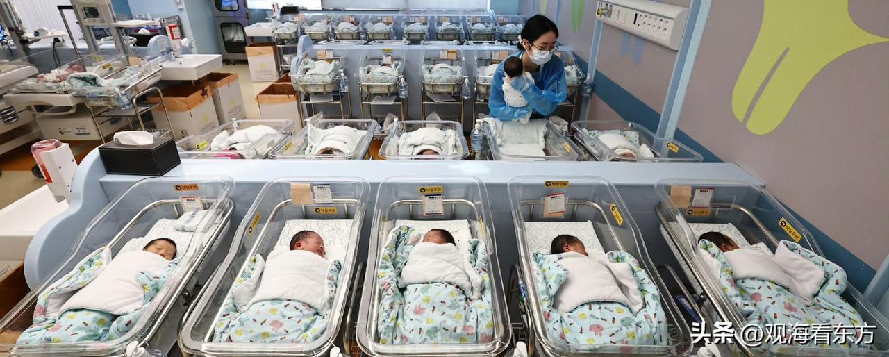【韩国人重新开始生娃 人口自然减少规模降至四年来最低】随着出生人数持续回升，韩国
