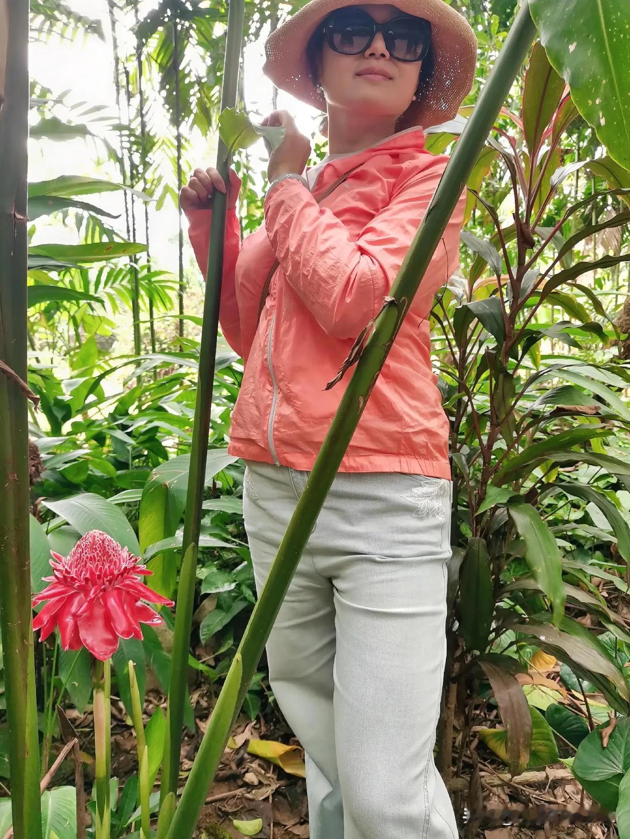 一一热带雨林植物园

一一了解神奇的

一一热带雨林植物

一一【原创摄影】
