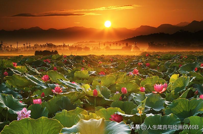 初夏的美，随手一拍就是一幅画。初夏景色处处皆是惊喜，随便按下快门，就能定格美好瞬