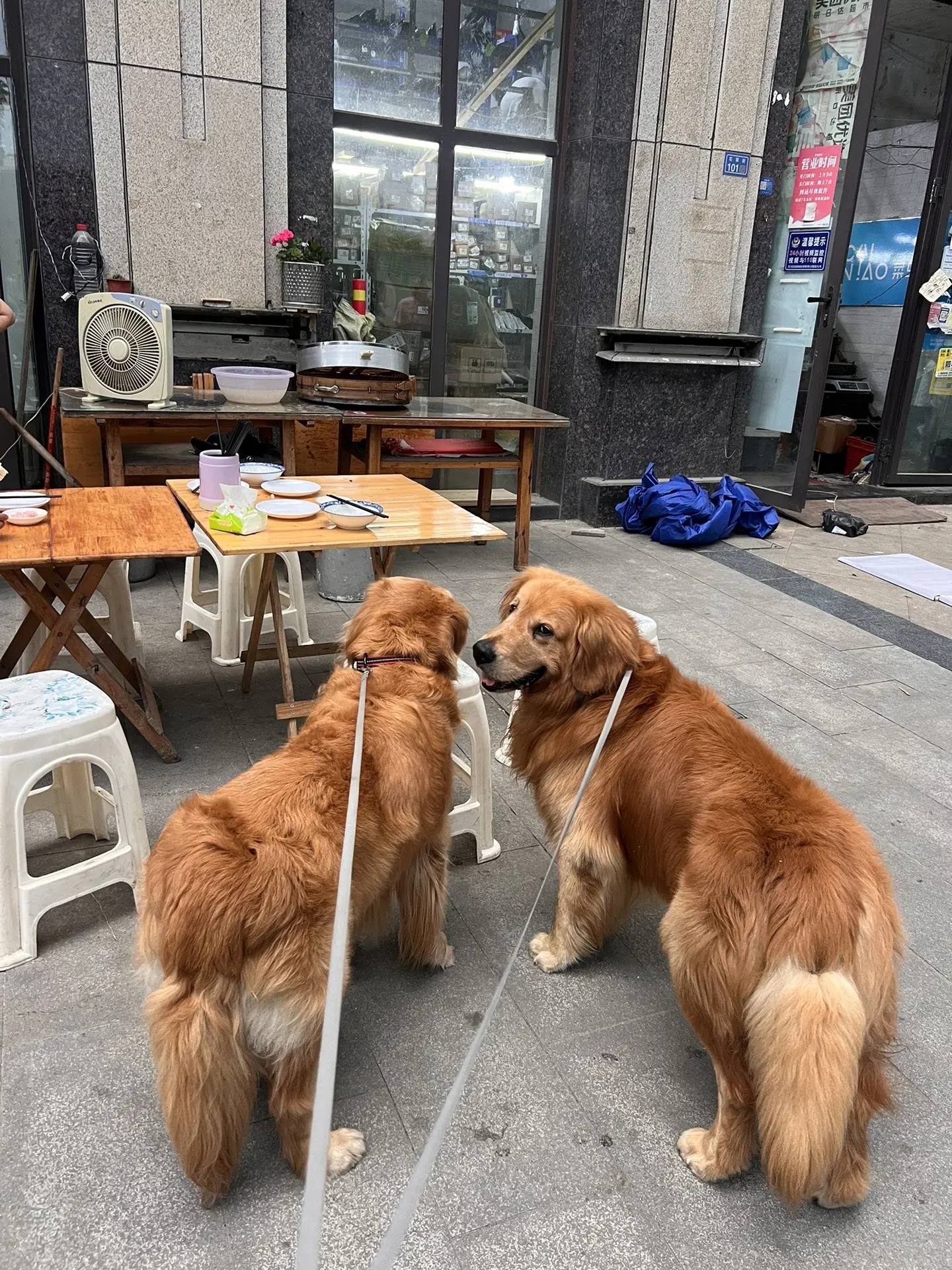 老板说还差两个就吃了五百块的馒头啦