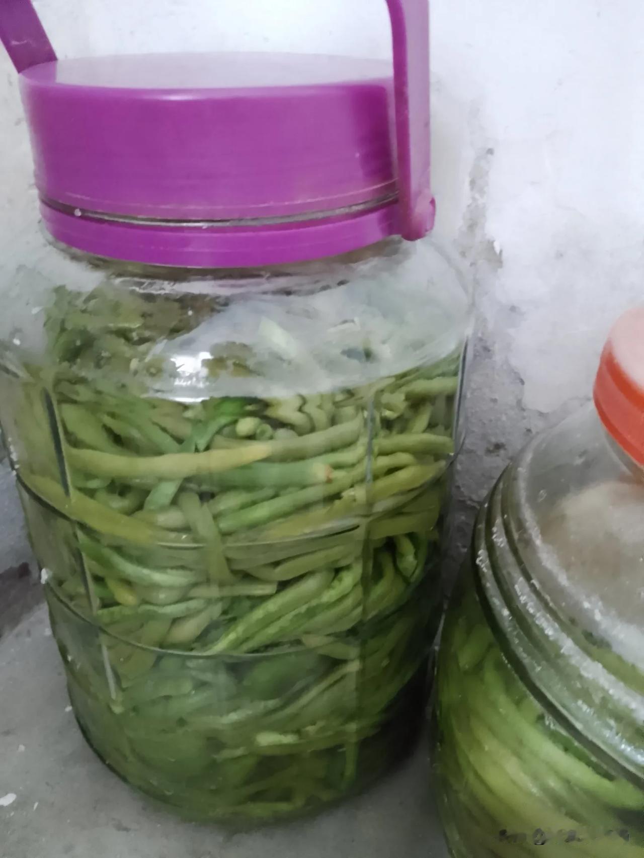原来腌豇豆角选材料时是有讲究的，老公让我腌点豇豆角，我不愿意，问题出在这两年腌出