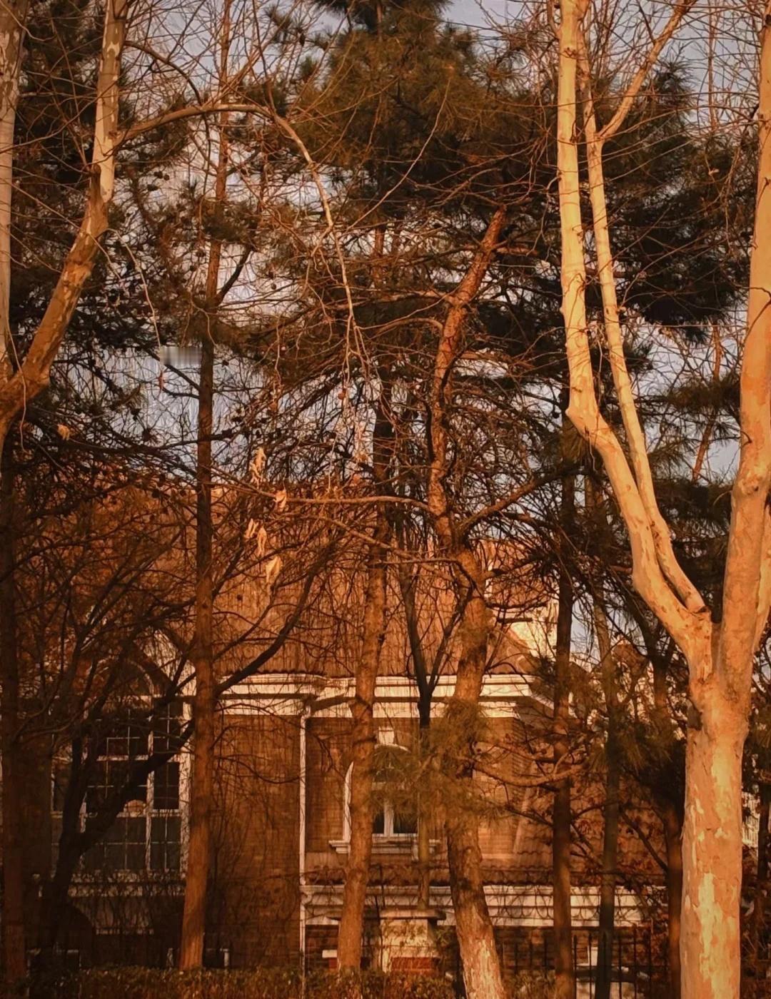 我心里的美好
就是平和安静