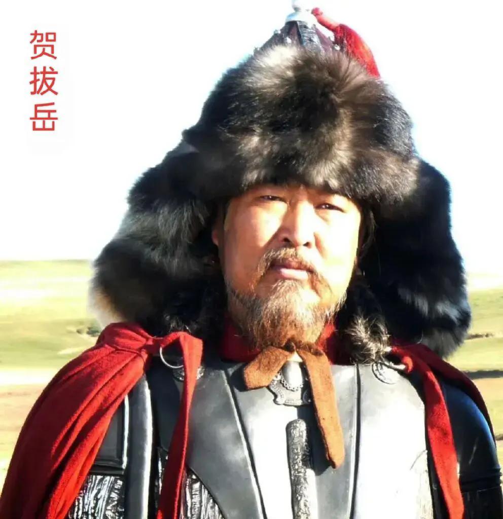 贺拔岳（？—534年），字阿斗泥，神武尖山(今山西神池)高车族（敕勒族）人，肆州