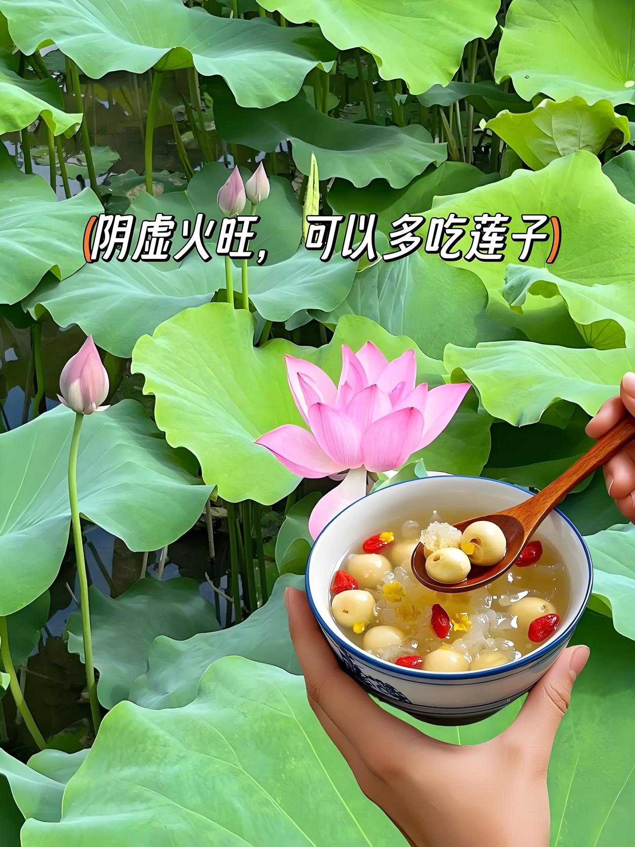 本地人写本地事 鄂州的莲子，那可是夏日限定的清甜！在华容区蒲团乡横山村，300 