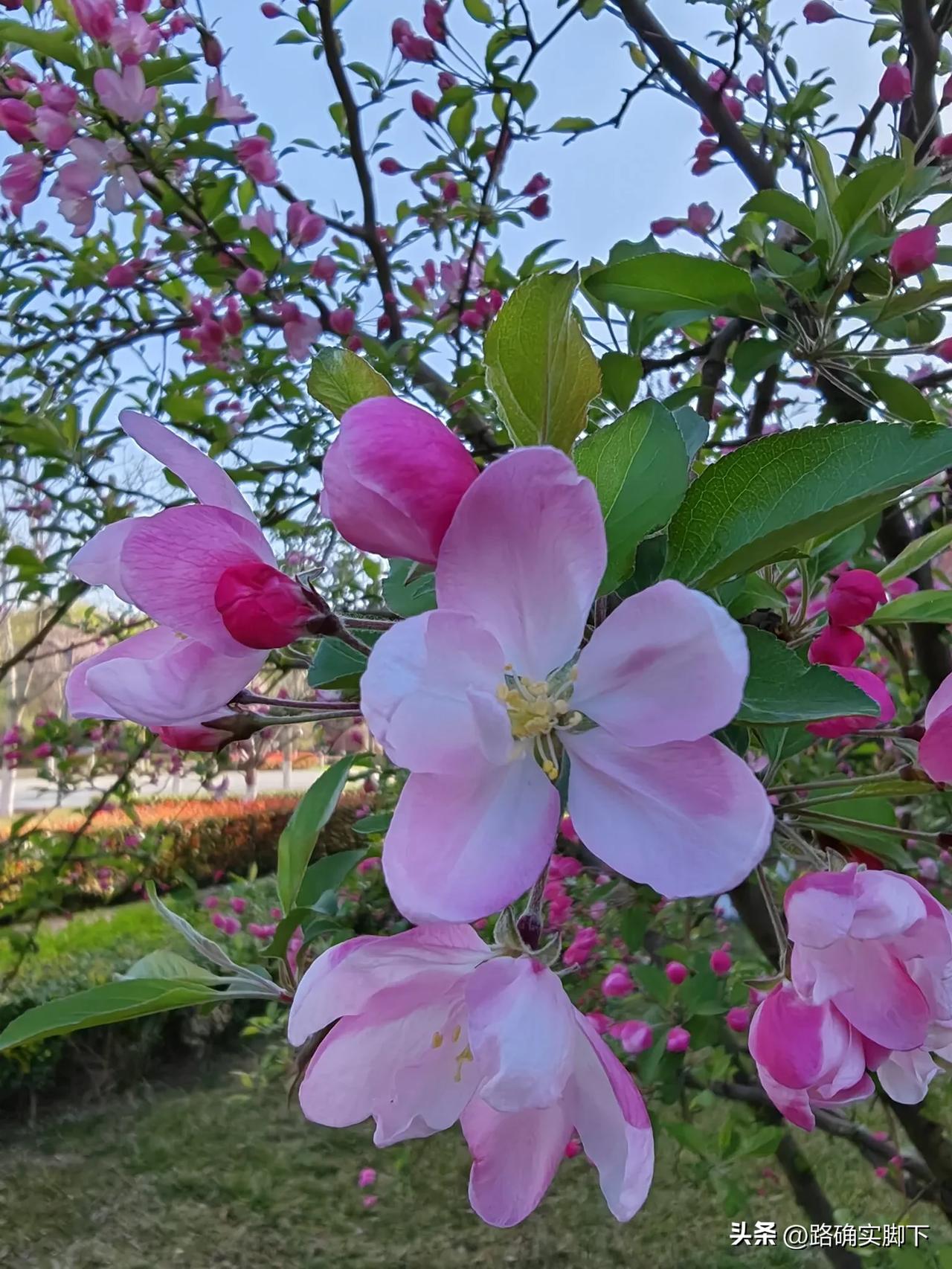 DeepSeek V3—0324、Gemini 2.5 Pro、ChatGPT 