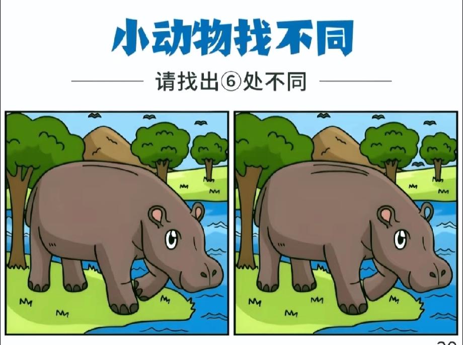  火了！小河马的找不同，90%的人漏了2处，评论区晒你的答案证明是细节控