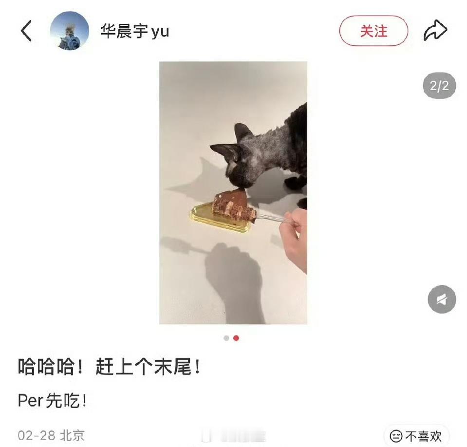 华晨宇喂猫吃巧克力蛋糕华晨宇旧闻新炒！华晨宇2月晒的喂猫日常，今天突然爆上热搜巧