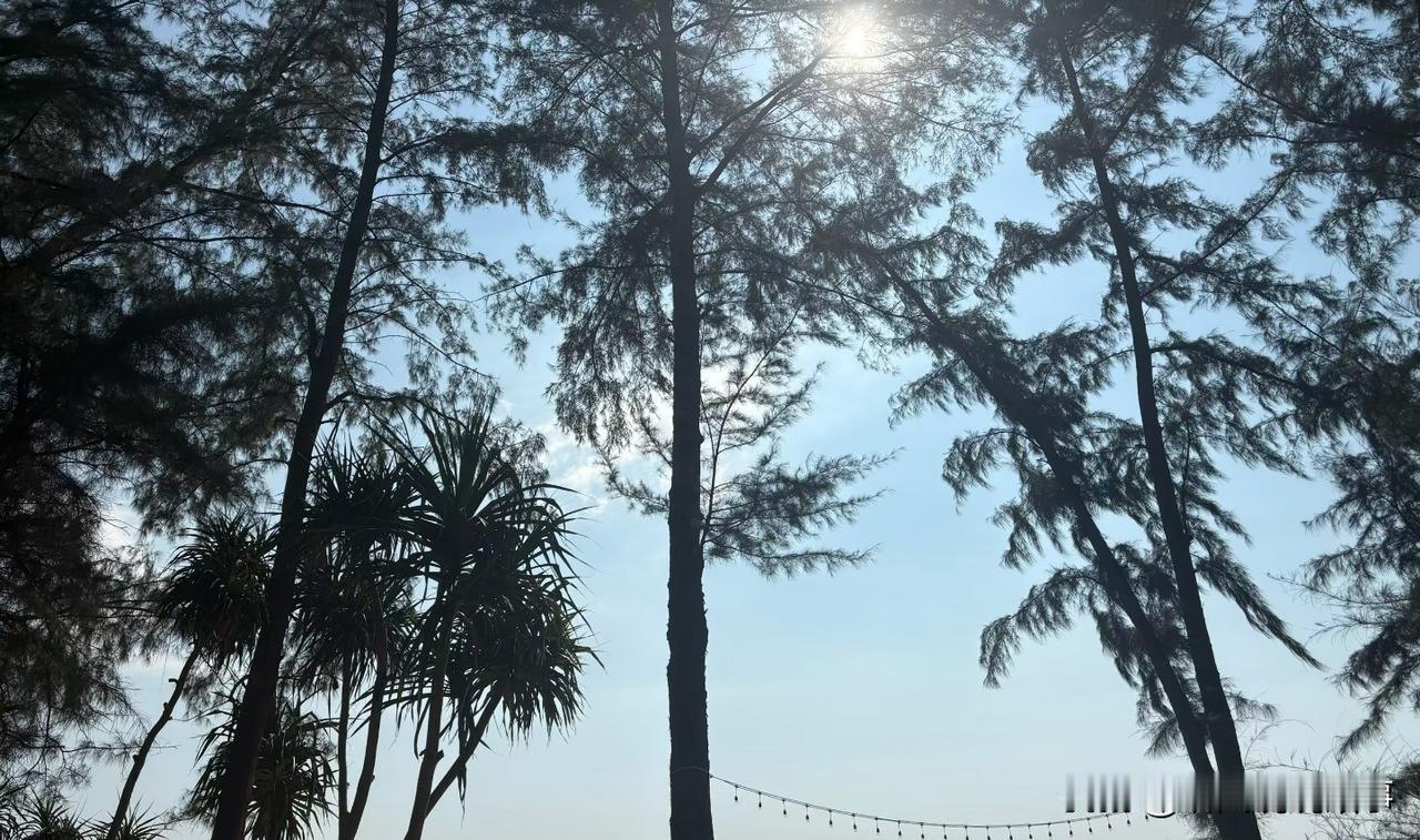[锦鲤到来]销售早会取消了

哇，不用开早会了，基本上每个销售公司都会开早会，这