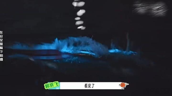 刘宇宁看到蓝眼泪的反应刘宇宁说晚上的海有怪物 追蓝眼泪是浪漫环节，刘宇宁负责在浪