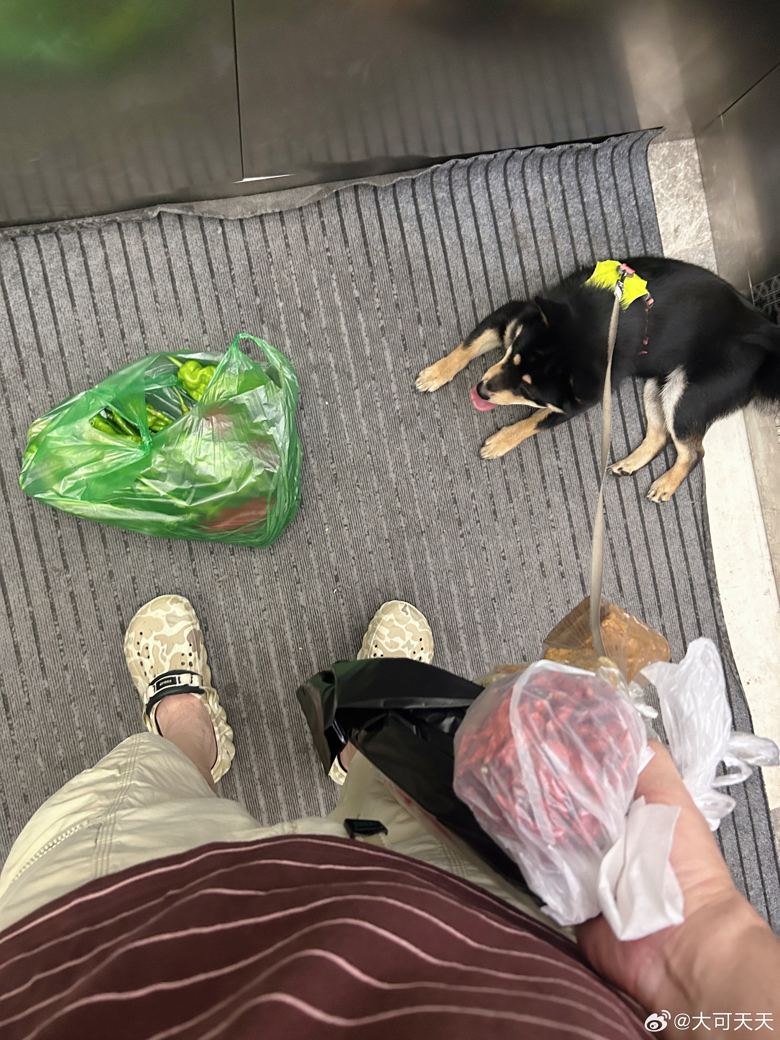 打猎回来了 